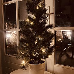 Guest house 040318 - Holiday property Ameland - 't Roefke