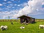 Unterkunft 040321 • Ferienhaus Ameland • Strandchalet 4 Miva  • 2 von 8