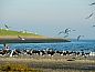 Unterkunft 0403234 • Appartement Ameland • Appartment Amelander Kaap  • 10 von 12