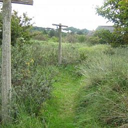 Natuurlijke omgeving rondom De Vijfhoek in Nes, Ameland met wandelpad door duinen.