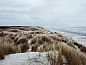 Guest house 040446 • Holiday property Ameland • Huisje in Nes  • 11 of 13
