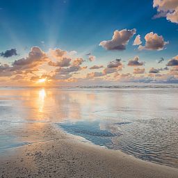 Landal West Terschelling