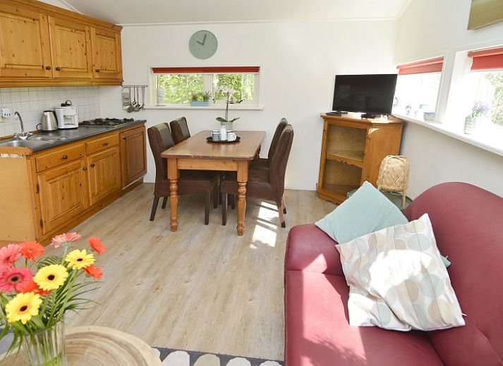 Gutes Ferienhaus in De Cocksdorp, Texel, mit schoener Terrasse und Gartenstatuen.