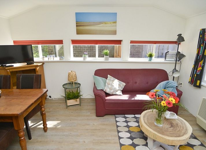 Gutes Ferienhaus in De Cocksdorp, Texel, mit schoener Terrasse und Gartenstatuen.