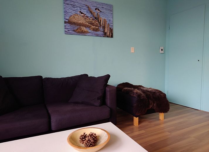 Guest house 010108 - Holiday property Texel - Kikkerpoel