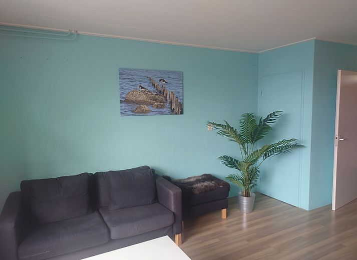 Guest house 010108 - Holiday property Texel - Kikkerpoel