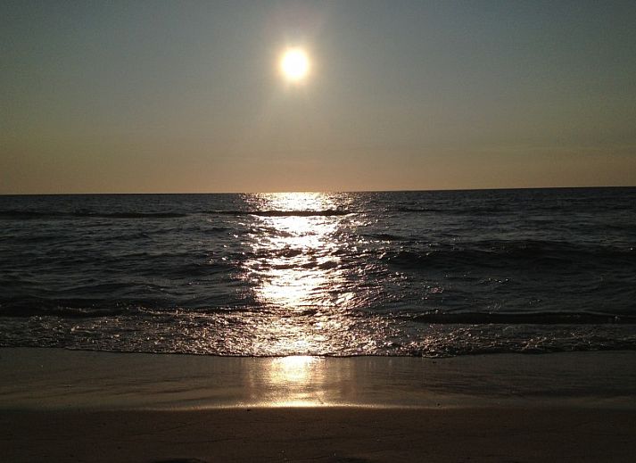 Guest house 01011010 - Bungalow Texel - Ons Eilandgevoel