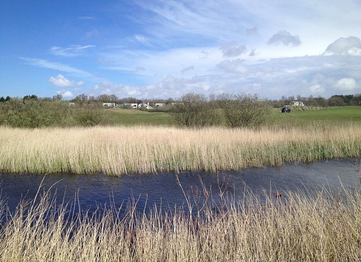 Guest house 01011010 - Bungalow Texel - Ons Eilandgevoel