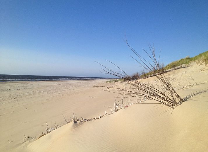 Guest house 01011010 - Bungalow Texel - Ons Eilandgevoel
