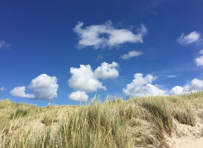 Guest house 01011010 - Bungalow Texel - Ons Eilandgevoel