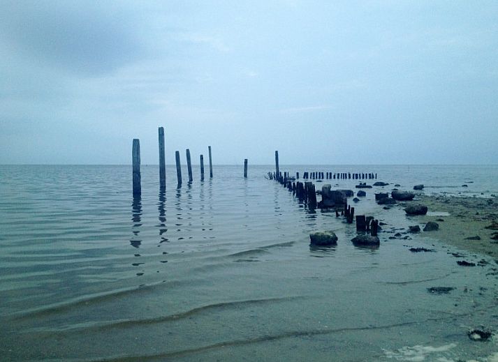 Guest house 01011010 - Bungalow Texel - Ons Eilandgevoel