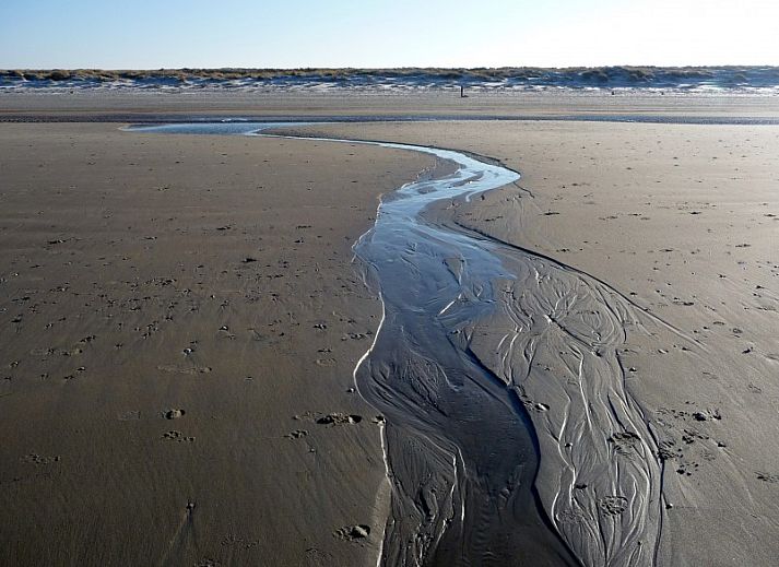 Guest house 01011010 - Bungalow Texel - Ons Eilandgevoel