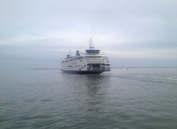 Guest house 01011010 - Bungalow Texel - Ons Eilandgevoel