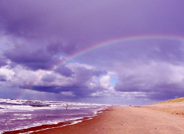 Guest house 01011010 - Bungalow Texel - Ons Eilandgevoel