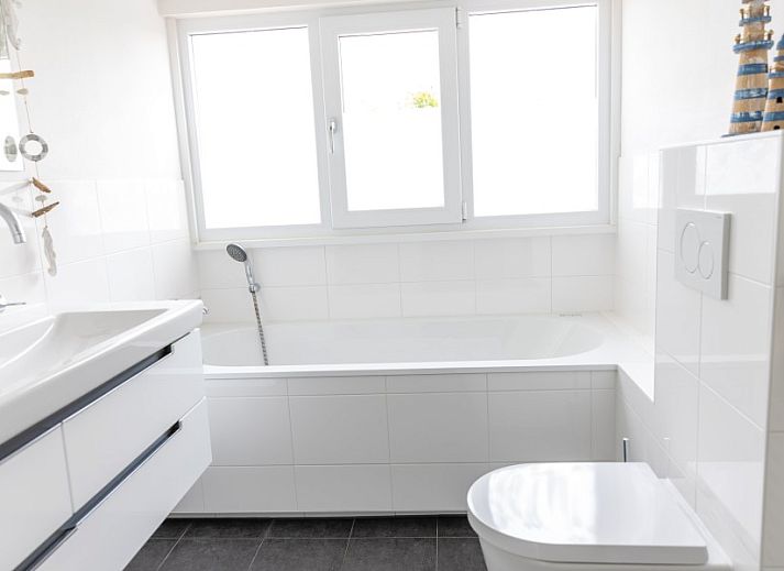 Backyard of De Jutter vacation home Texel with spacious terrace and green surroundings.