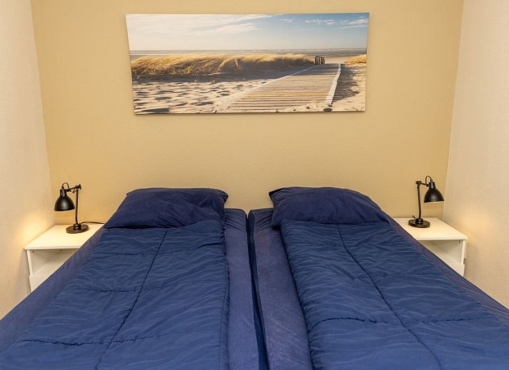 Backyard of De Jutter vacation home Texel with spacious terrace and green surroundings.