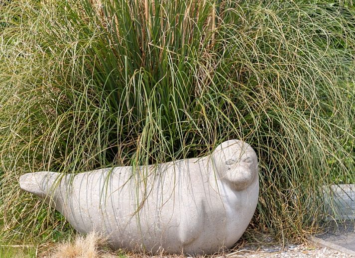 Backyard of De Jutter vacation home Texel with spacious terrace and green surroundings.