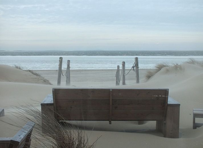 Unterkunft 01011015 - Ferienhaus Texel - Roggeslootweg 173