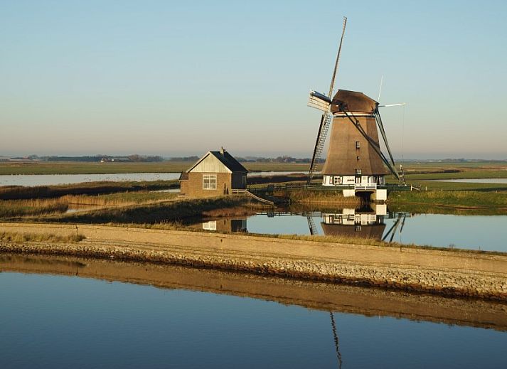 Unterkunft 01011015 - Ferienhaus Texel - Roggeslootweg 173