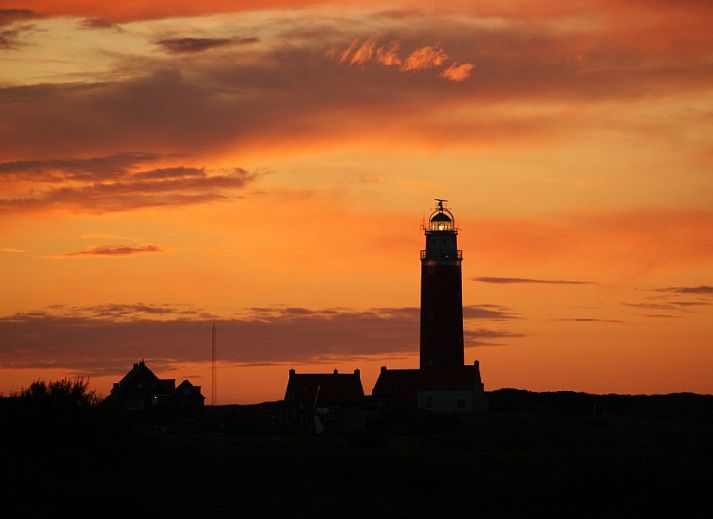 Unterkunft 01011015 - Ferienhaus Texel - Roggeslootweg 173