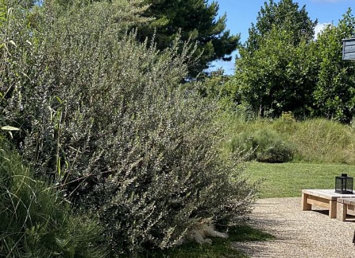 Moderne Luxus 8 Personen Golf Villa Texel in De Cocksdorp mit grossem Garten und blauem Himmel, Watteninseln.