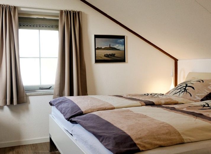 Guest house 01011037 - Holiday property Texel - De Lepelaar