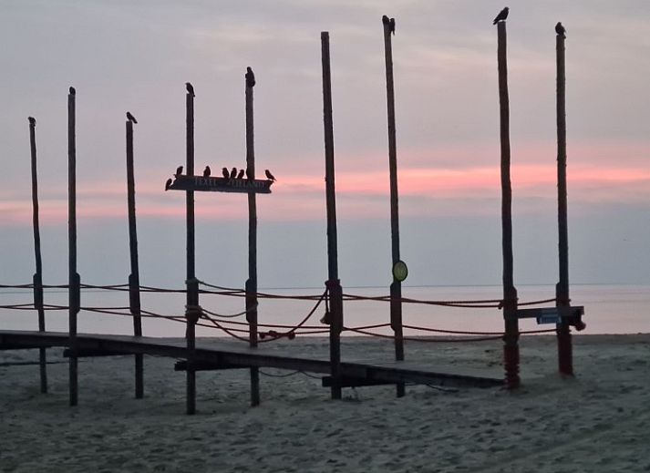 Guest house 01011047 - Special overnight stays Texel - Bed en Beach Wadbijzonder