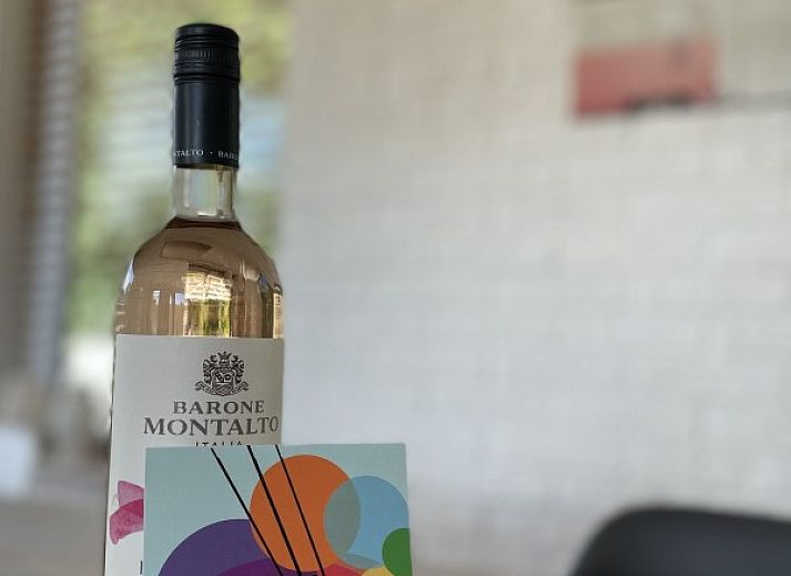 Kaap Zilt Texel vakantiehuis in De Cocksdorp met groene omgeving en terras.