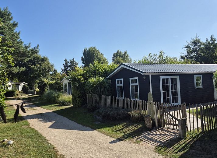 Guest house 01011055 - Chalet Texel - Chalet 114 