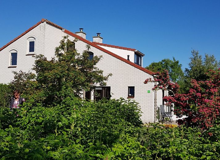 Unterkunft 01011056 - Ferienhaus Texel - Ferienperle