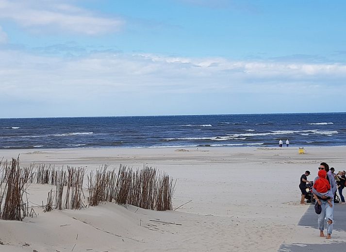 Unterkunft 01011056 - Ferienhaus Texel - Ferienperle