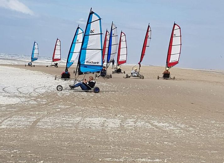 Unterkunft 01011056 - Ferienhaus Texel - Ferienperle