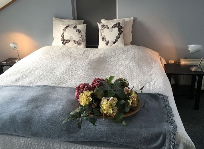 Unterkunft 01011058 - Ferienhaus Texel - de Marije