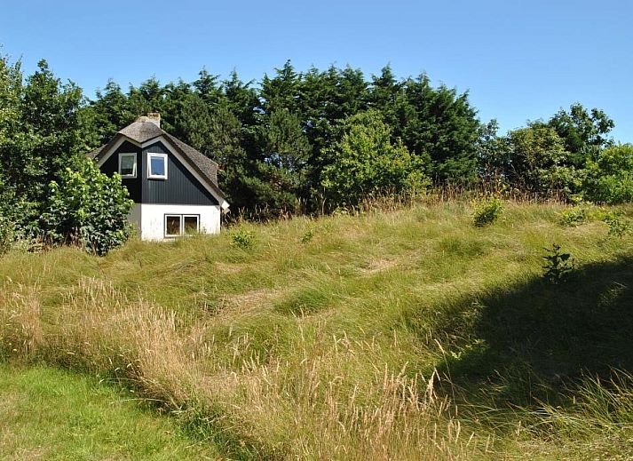 Unterkunft 0101121 - Ferienhaus Texel - Bosuil