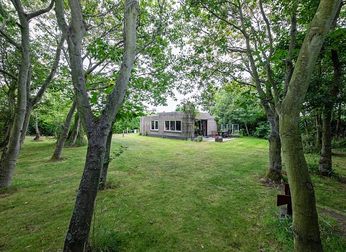 Guest house 0101143 • Holiday property Texel • Bungalow Tamarisk 138