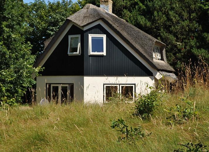 Velduil vakantiehuis in De Cocksdorp, Texel met rieten dak en groene omgeving.