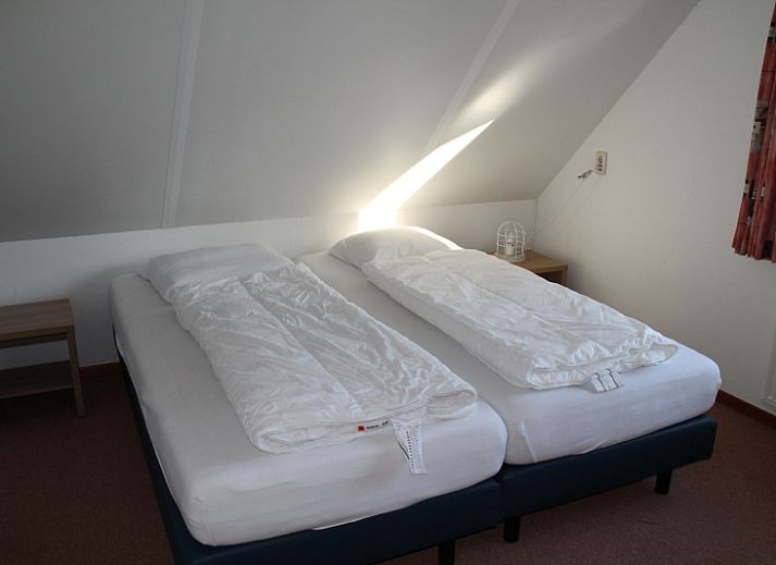 Guest house 0101173 - Holiday property Texel - Duin-/vuurtorenzicht vrijstaand