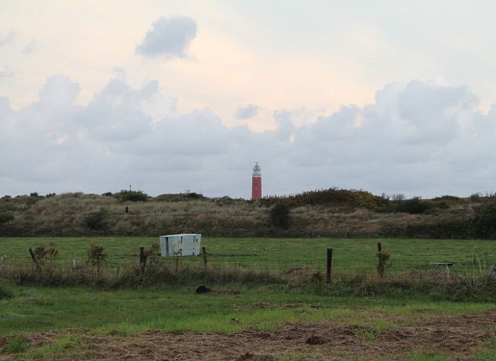 Guest house 0101173 - Holiday property Texel - Duin-/vuurtorenzicht vrijstaand