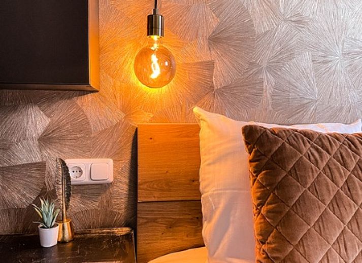 Guest house 0101178 - Holiday property Texel - Vakantiehuis De Roggesloot