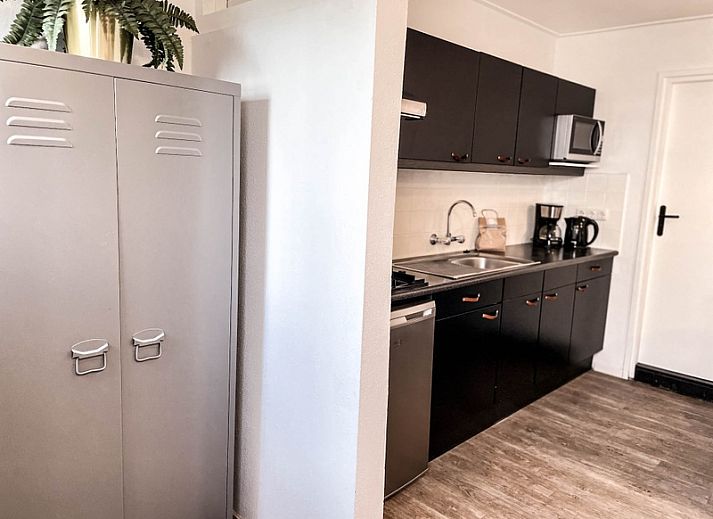 Guest house 0101178 - Holiday property Texel - Vakantiehuis De Roggesloot