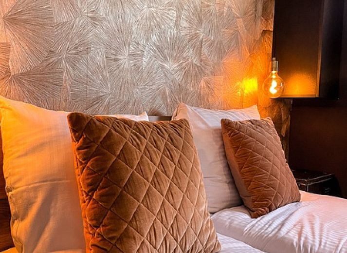 Guest house 0101178 - Holiday property Texel - Vakantiehuis De Roggesloot