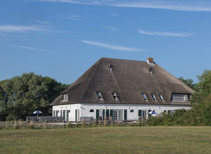Type T-4 vakantiehuis in De Cocksdorp, Texel met rieten dak en groene omgeving.