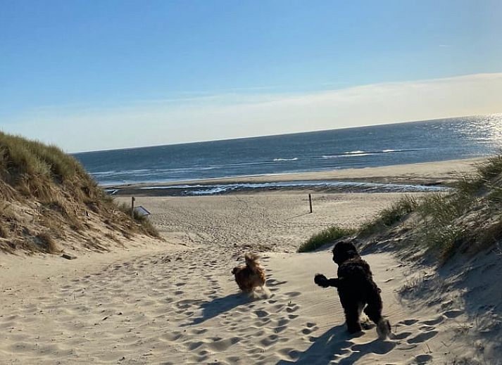 Parking and green area at Holiday home in De Cocksdorp, Texel, Wadden Islands with a view.