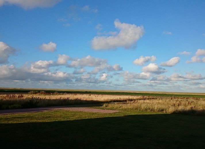 Gemuetliches Wohnzimmer im Vuurtorenweg 58 C Ferienhaus De Cocksdorp Texel mit Blick auf die Natur.