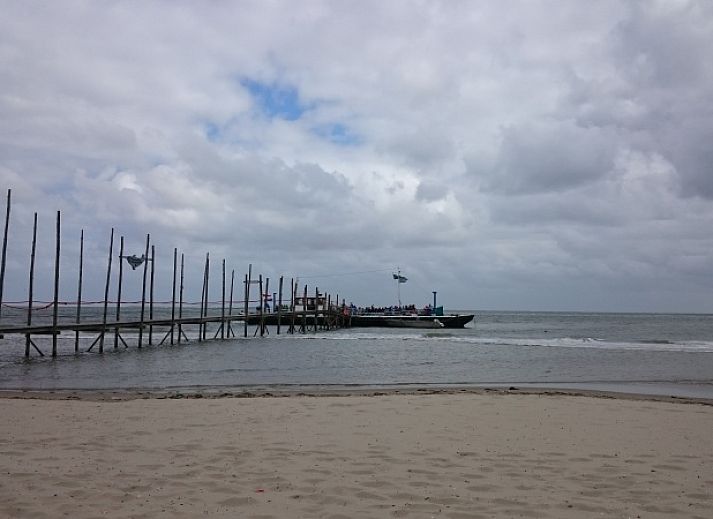 Gemuetliches Wohnzimmer im Vuurtorenweg 58 C Ferienhaus De Cocksdorp Texel mit Blick auf die Natur.