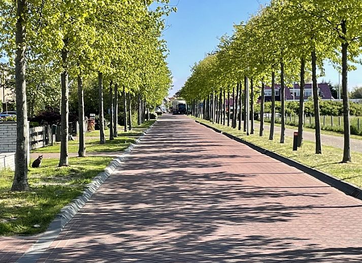 Gezellige woonkamer van Vakantiehuis 34A in De Cocksdorp Texel met moderne inrichting.