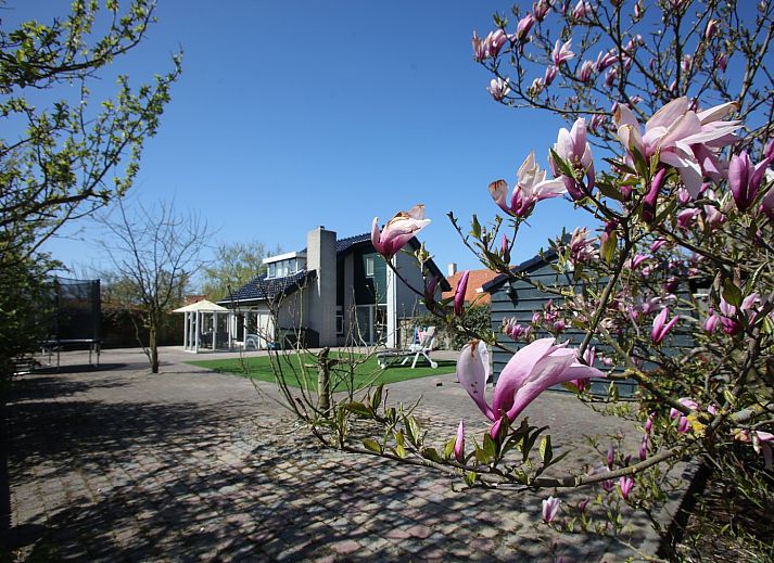 Blom & Co Ferienhaus mit Sonnenterrasse in De Cocksdorp, Texel, Waddeninseln.
