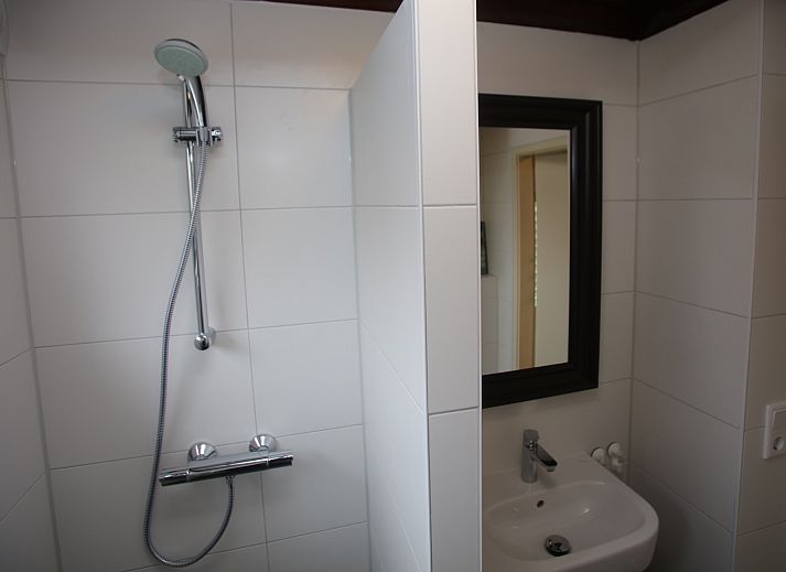 Bluehende Magnolie im Garten des Ferienhauses Blom & Co, De Cocksdorp, Texel.