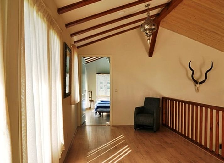 Ruime buitenruimte van vakantiehuis Huisje in De Cocksdorp, Texel, met groene omgeving.