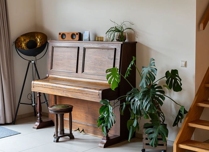 Ruime buitenruimte van vakantiehuis Huisje in De Cocksdorp, Texel, met groene omgeving.